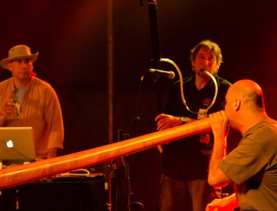 Boreal Groove photo