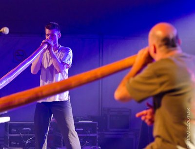Boreal Groove photo