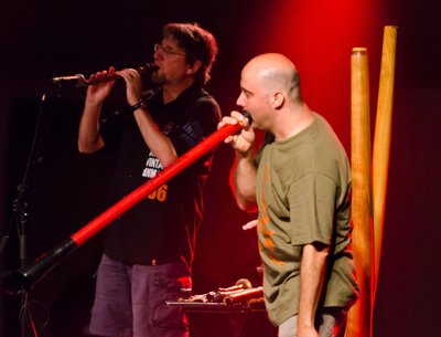 Boreal Groove photo