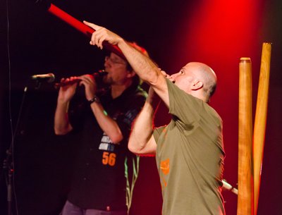 Boreal Groove photo