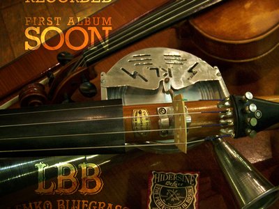 Lemko Bluegrass Band photo