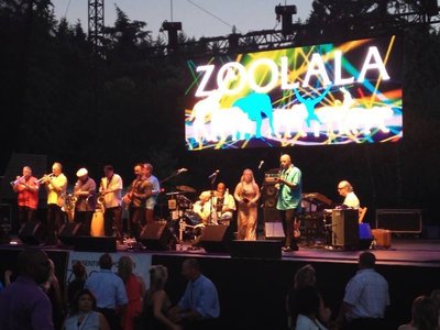 Soul Vaccination - Zoolala