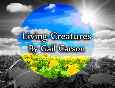 Gail Carson photo