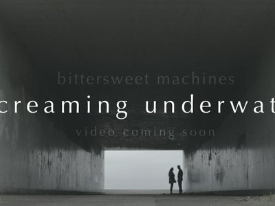 Bittersweet Machines photo