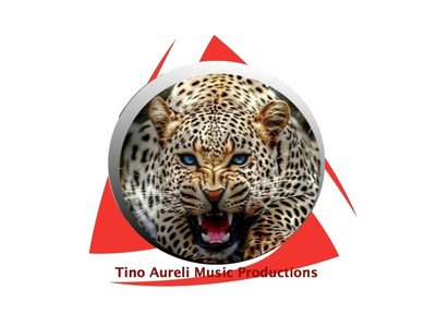 tino aureli photo