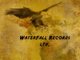 WaterFall Records Logo