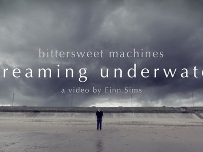 Bittersweet Machines photo