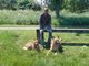 ME & MY HOUNDS