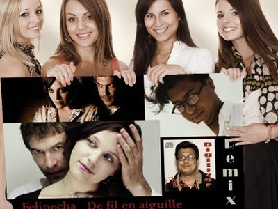 Felipecha Digitizer Poster