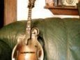The Gibson