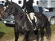 tally ho!