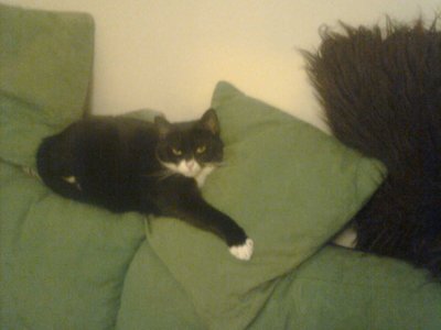 its been a hard day