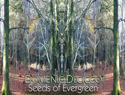 Seeds Of Evergreen new album 2014