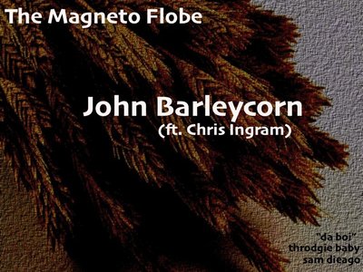 The Magneto Flobe photo
