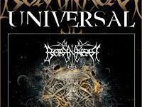 Borknagar photo
