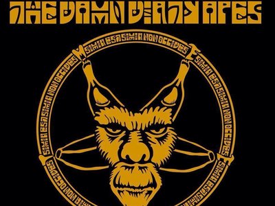 The Damn Dirty Apes photo