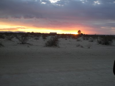 29 Palms