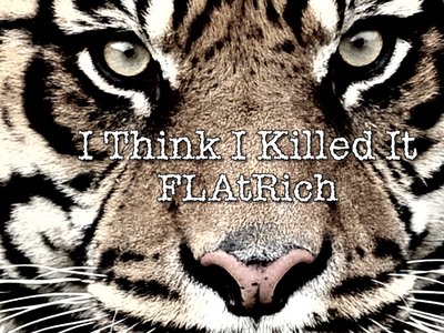 I Think I Killed It (2014)
