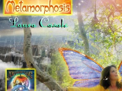 Metamorphosis