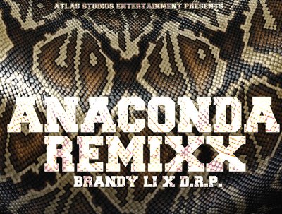 Annaconda #Remix by D.R.P. Muzik feat Brandy Li #PressPlay #TurnUp