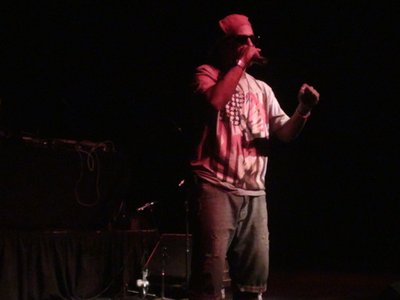 TLA PERFORMANCE