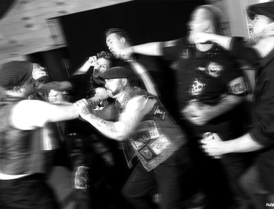 The Dead Rabbits photo