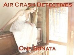 AirCrash Detectives photo