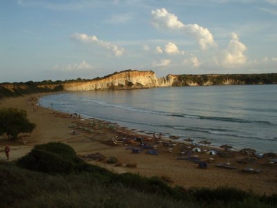 Backing pic Zante