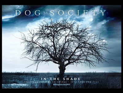 In the Shade cd cover