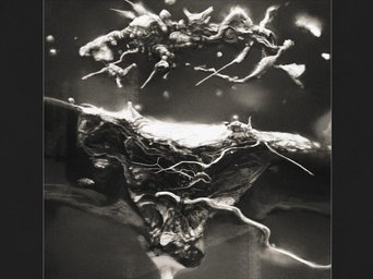 ADIMIRON photo