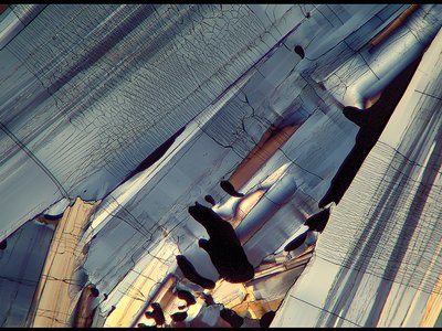 Doug Craft photo