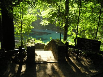 Gail Carson photo