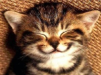 Smile 