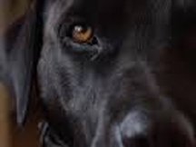 Our friend Cobalt