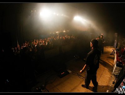 The Chimpz photo
