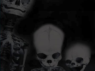 Voodoo Bible photo