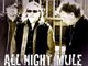 All Night Mule