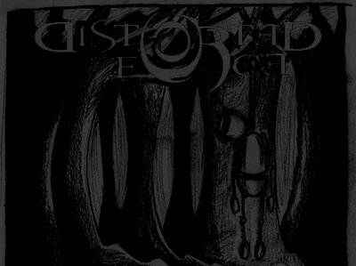 Distorted Force - Taken by Force Artwork