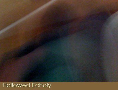 Hollowed Echoly