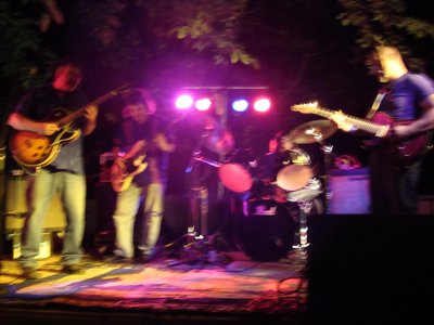 Blue Haven Blues Band photo