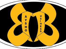 @BayshoBusiness