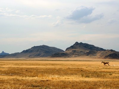 Scott Elliott photo