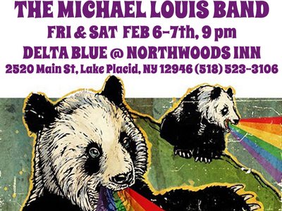 THE MICHAEL LOUIS BAND photo