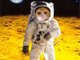 StarSailorCat