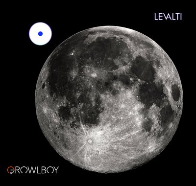 LEVALTI photo