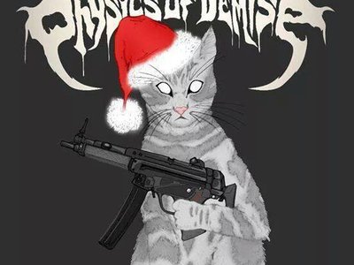 Physics of Demise photo