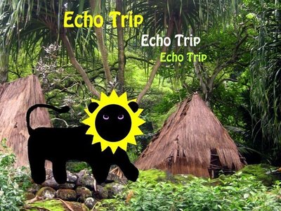 Echo Trip photo