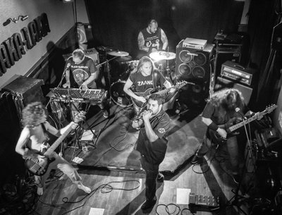 The band 2014 / Shala Laka (Hazebrouck / 59 / France) gig