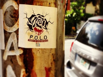 The P.O.L.O Concrete Rose is everywhere! #IAmAProductOfLifesObstaclesse