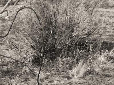 Jaime Michaels photo